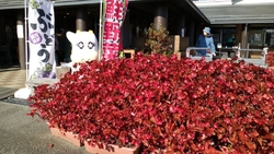 午後の訪問にな...