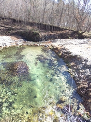 今シーズン最終...