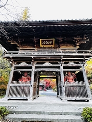 お蕎麦を食べた...