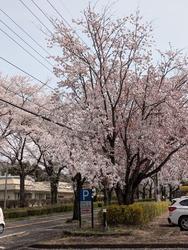 今年も大好きな...