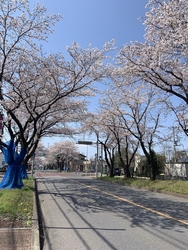 4月3日に訪れ...