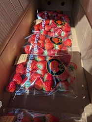 お野菜や切り花...