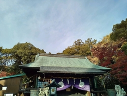 今年もいろいろ...