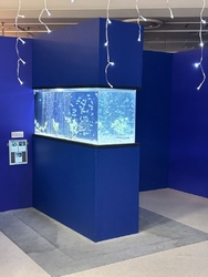 「サマーアクア...