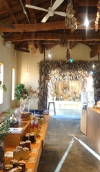 久しぶりに麦ペ...