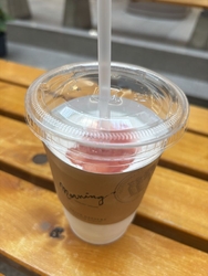 こちらのヨーグ...