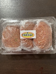 やくしんハンバ...