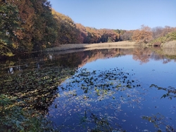 晴れた日のぽか...