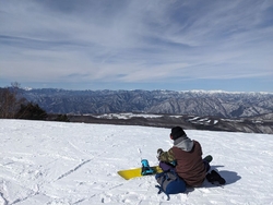 車がノーマルタ...