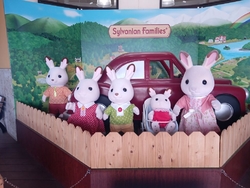 何年かぶりの道...