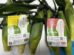 とうもろこしが...