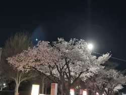 ペットフード2...