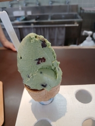 今日は、月曜日...