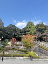 バンバひろば（...