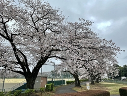 那須塩原は3月...