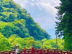 約2ヶ月前から...