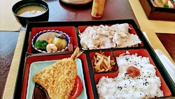 紅の吊橋を眺め...