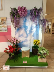 バンバ広場でイ...