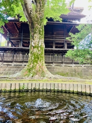 太平山神社から...