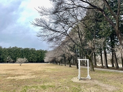 寒い日が続いて...