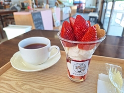 以前頂いたフィ...