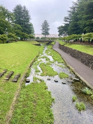 美原公園をウォ...