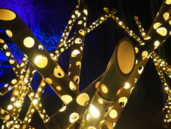 家族でライトア...