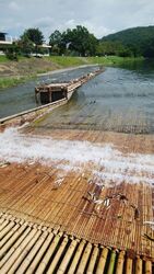 大瀬観光やな 茂木町のやな 食堂 栃ナビ