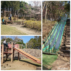 鹿沼運動公園 ヤオハン いちごパーク のクチコミ 口コミ 写真 鹿沼市 公園