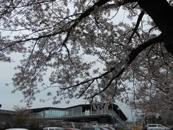駅の東口に市営...