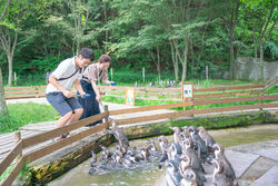 ふれあい体験が充実