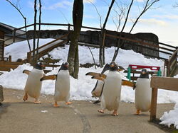 冬の特別イベント