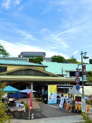 益子陶器市出店します☆