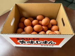 l迷ったらこれ！君島さんちの一番人気♪
