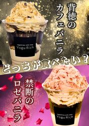 どっちを選ぶ??!✨
