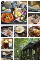 雨の日は森の中のカフェで楽しみませんか？