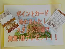 【お得】ポイントカード始めました！