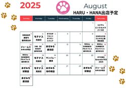 8月の出店スケジュール♪