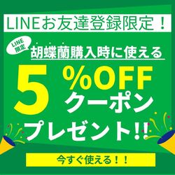 公式LINE登録キャンペーン