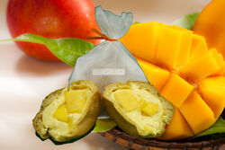 今週の週替りシューはコチラ!