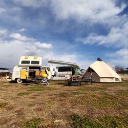 12月5日(金)、12日(金)は『ぴぃちゃん’sファーム』終日臨時休業いたします!