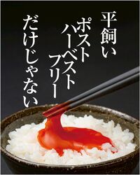 【店頭受取りネット予約ご利用方法】直売所限定価格✨️確実に受け取りたい方や忙しい方におすすめです✨