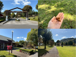 受付スタッフ☆募集中～～～♬