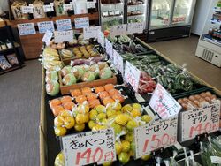 新鮮な野菜を取り揃えてます。
