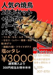 人気の焼鳥20本+唐揚げ+ポテトで3000円!お得なパーティーパック