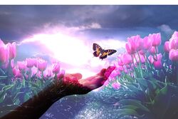 3月のご予約について