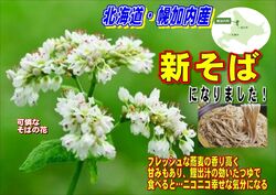 ●秋の新蕎麦祭り