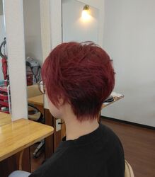 当店の人気NO1メニュー『カット』、人気の秘密は・・・♪