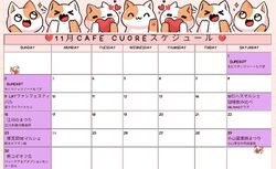 11月出店カレンダーです♪