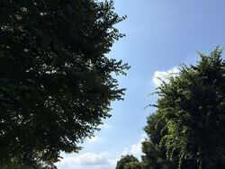 ◇◆夏季ご利用のご注意◆◇